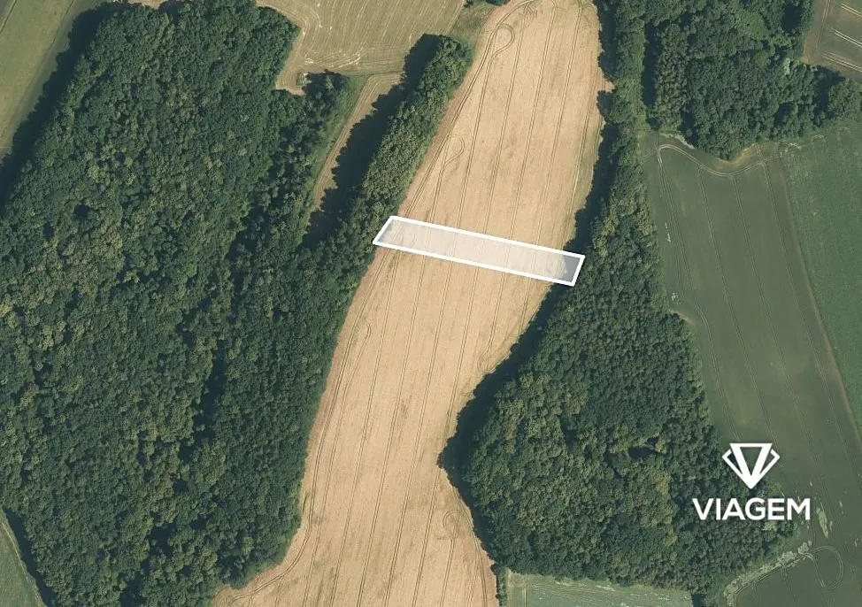 Prodej pole 4151 m²